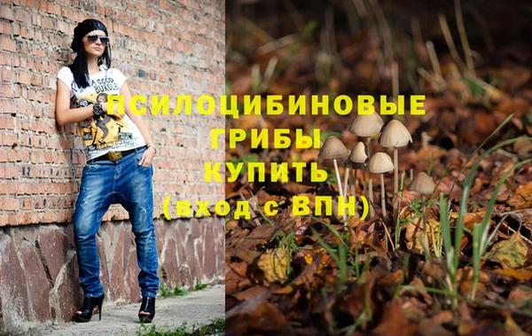 а пвп мука Арсеньев