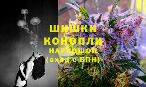 PSILOCYBIN Армянск