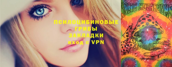 сатива Алексеевка