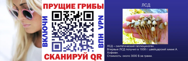 Псилоцибиновые грибы ЛСД  Иркутск 
